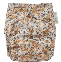 Gingerly AIO luier van Modern Cloth Nappies One Size