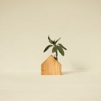 Houten vaasje zonder glas Nr. 07 Wooden Story