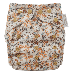 Gingerly AIO luier van Modern Cloth Nappies One Size